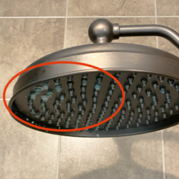 Shower Head Corrosion